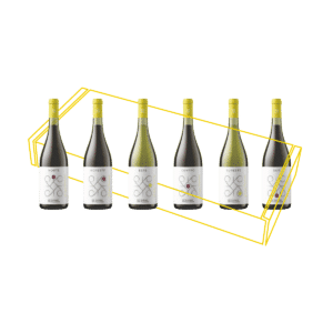 Pack 6 botellas de vino